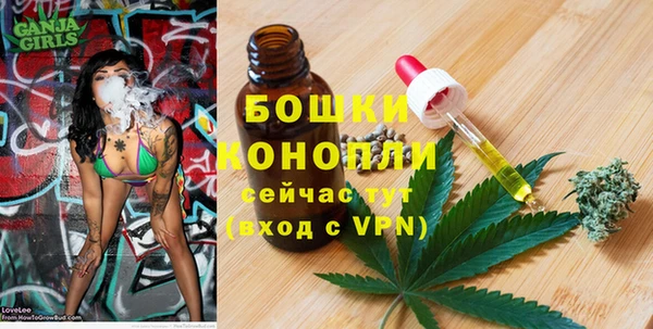 экстази Арсеньев
