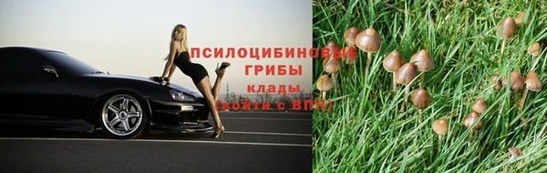 экстази Арсеньев