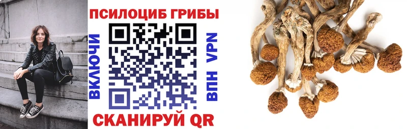 Галлюциногенные грибы GOLDEN TEACHER  mega ссылка  Суровикино  хочу наркоту 